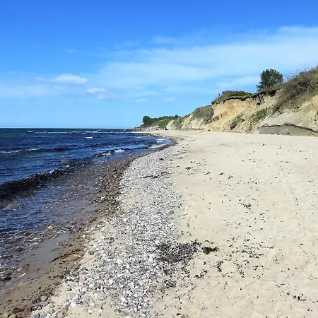 Moeve Aba 65 רריק