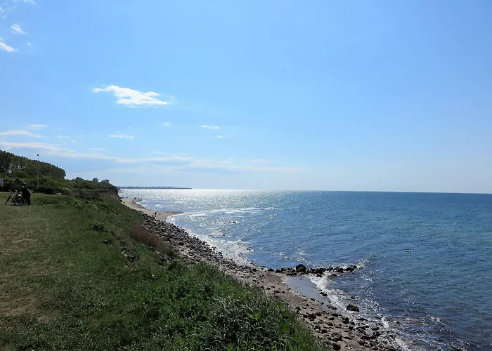 Moeve Aba 65 רריק