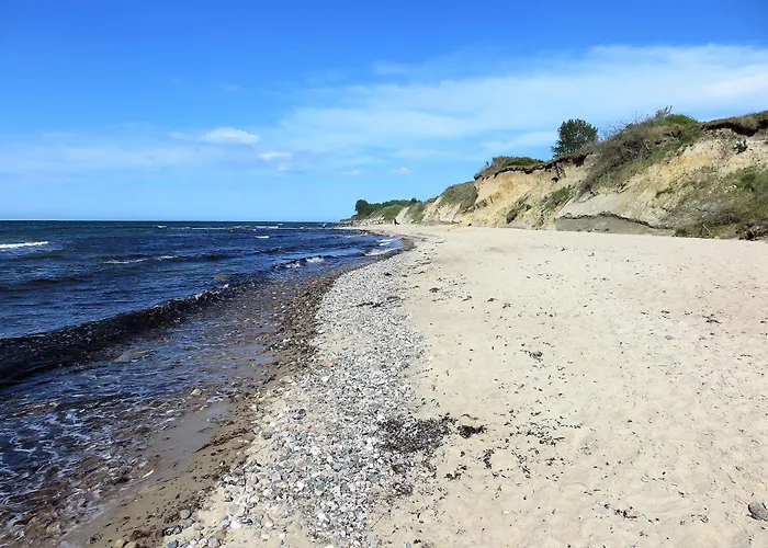 Moeve Aba 65 רריק